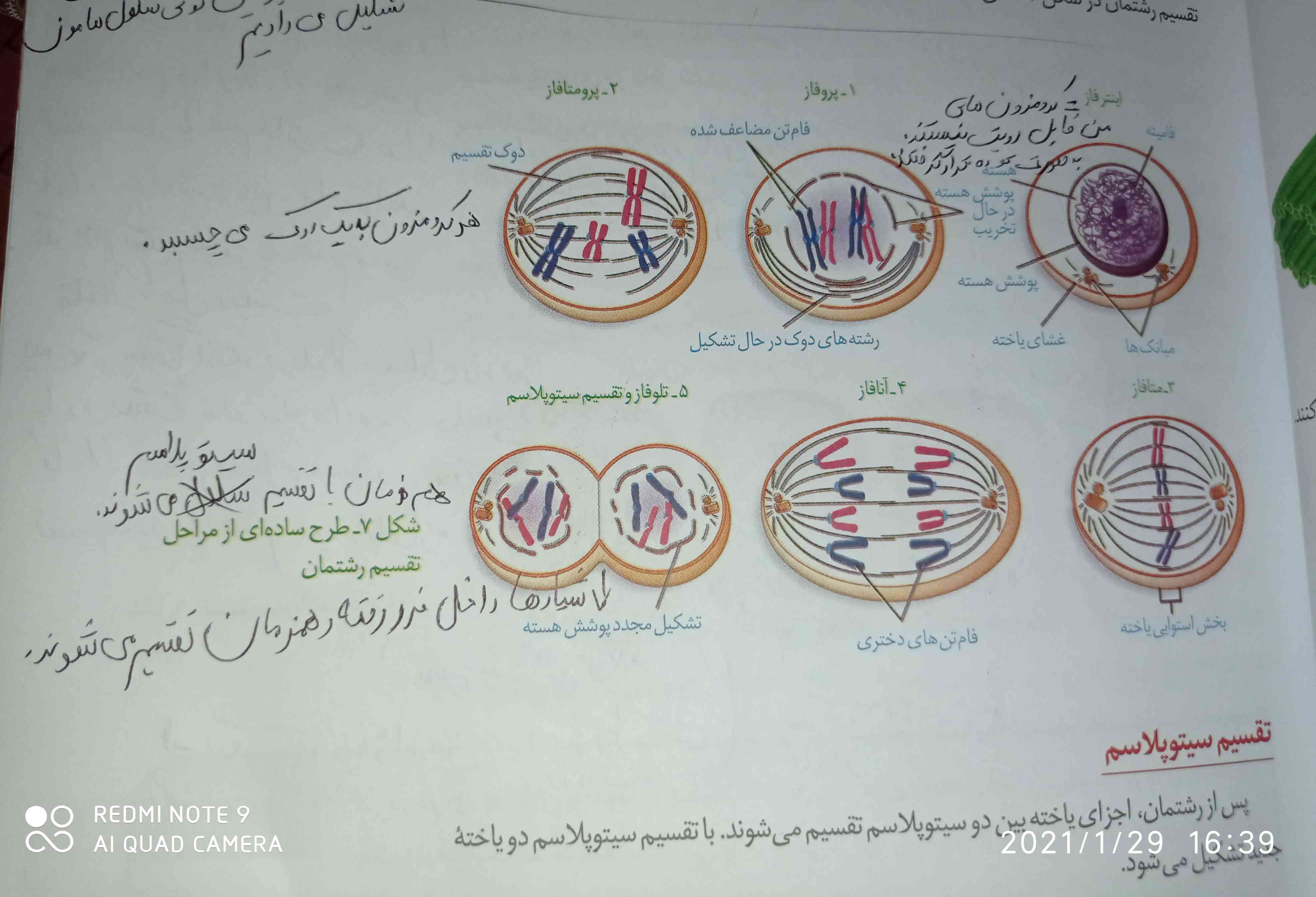 سلام بچه ها این را میخواستم برام توضیح بدین زیست یازدهم فصل ششم صفحه ی 85