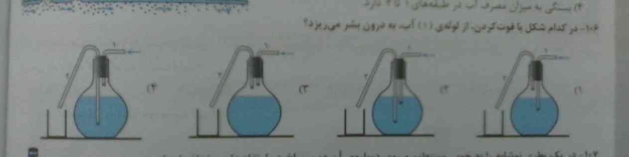 میشہ بگین 