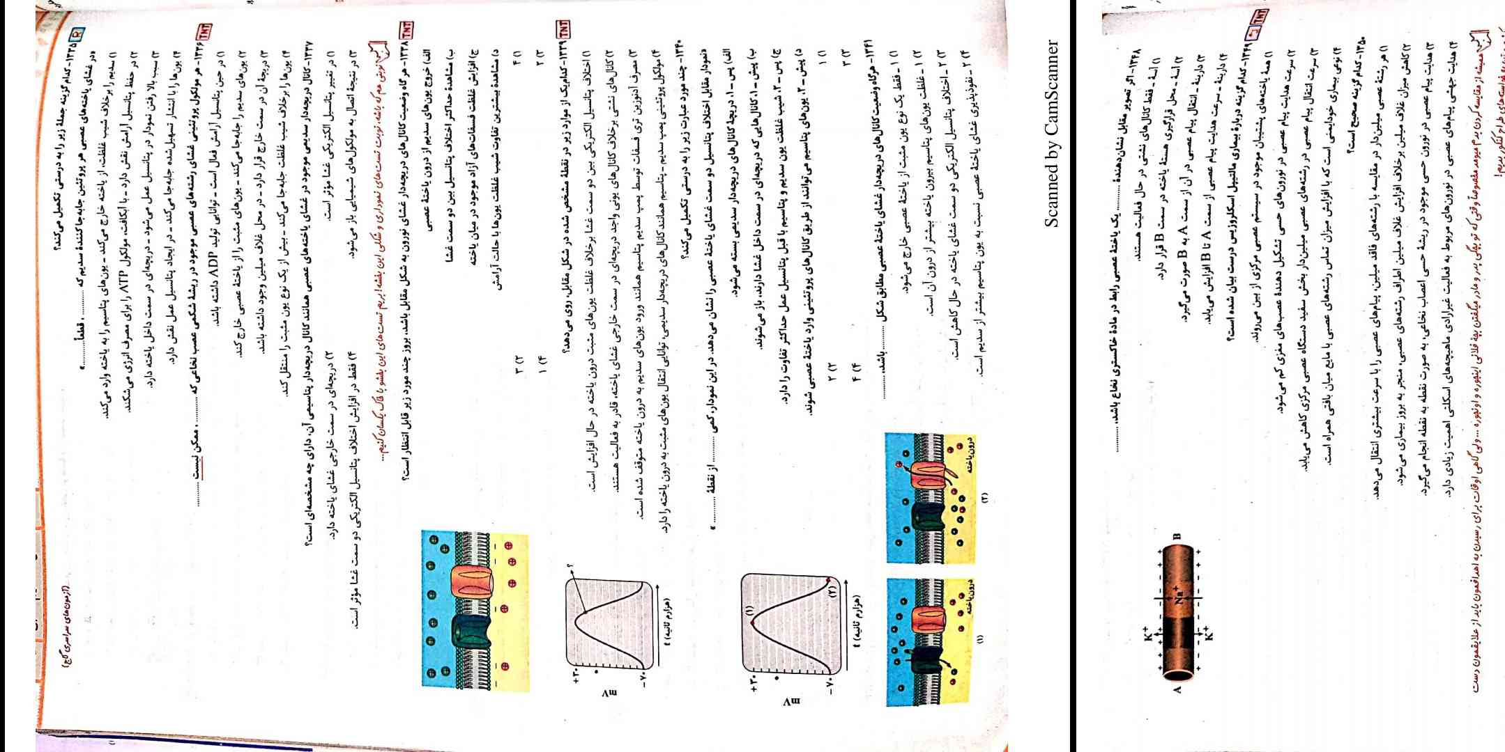 لطفاً جواب بدین ممنون