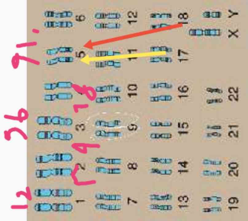 نگا کن برات شماره نوشتم
متن کتاب نگفته جفت کروموزوم 9!گفته کروموزوم 9 که تو جفت 5ام قرار گرفته