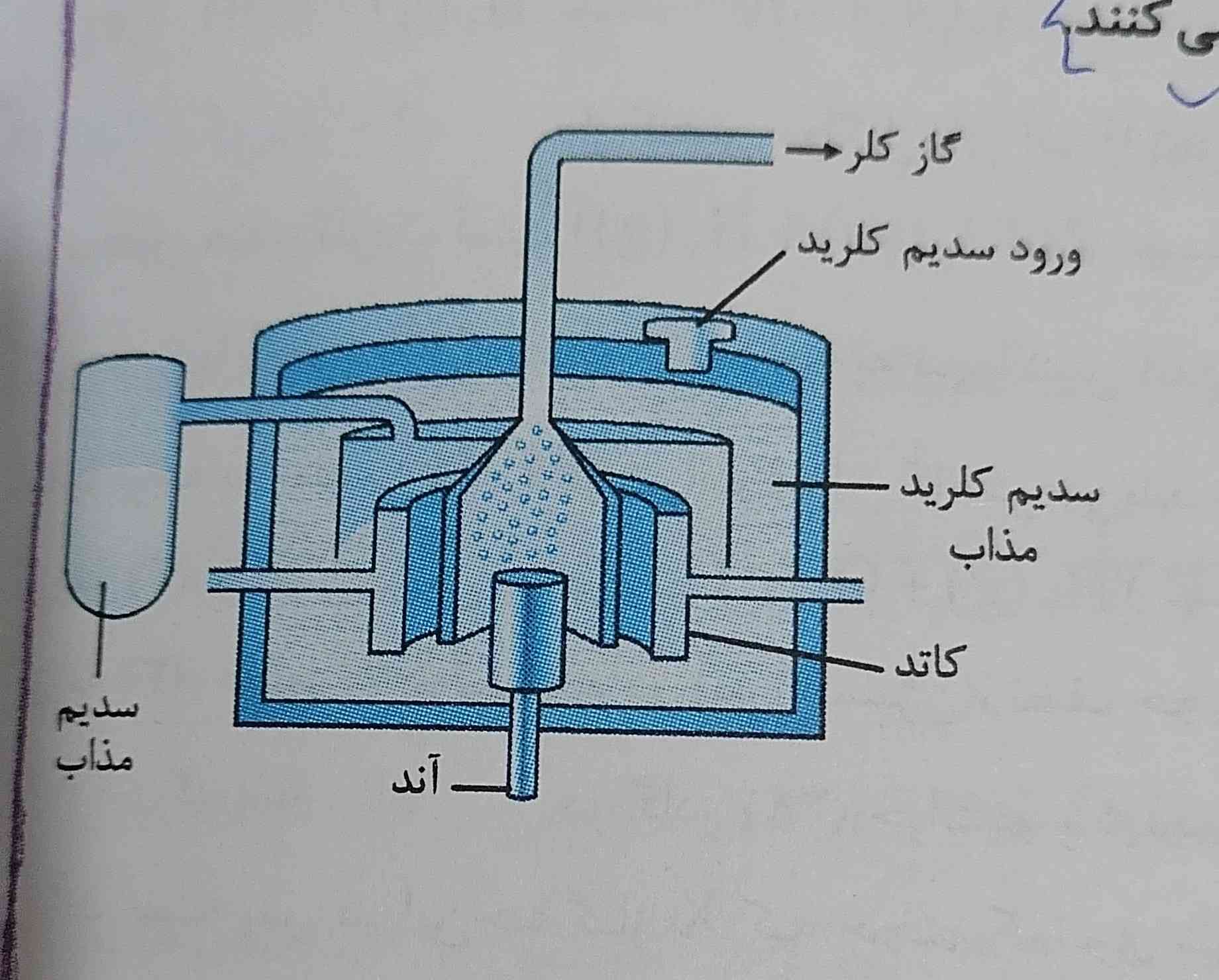 بچه ها سلام به نظرتون برای کنکور ما باید یه همچین سلول دانزی رو هم بلد باشیم؟ اخه شکلش تو کتاب نیست ولی درس نامه ی من این شکل رو آورده و ازش تست طرح کرده