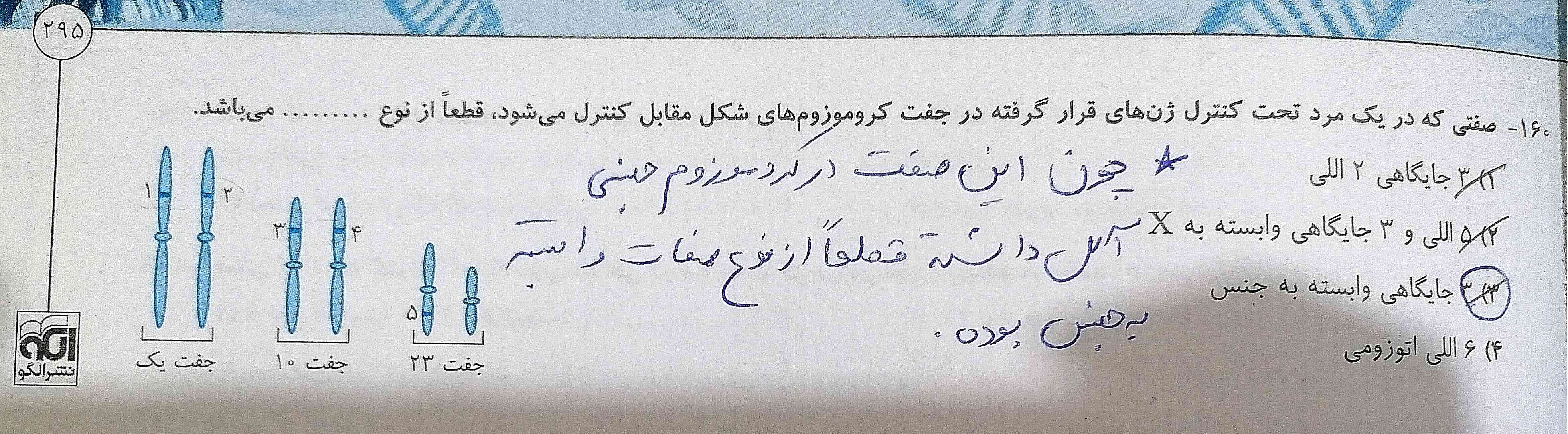 تو این تست جوابش گفته چون 1 الل رو کروموزوم جنسی قرار گرفته پس به طور قطع جز صفات وابسته به جنسه و جوابش گزینه ی 3 هست.
اما سوال من اینه که چرا دوتا الل دیگه رو کروموزوم های اتوزومی قرار گرفته نگفته صفت غیر وابسته به جنسه اما یدونه الل رو کروموزوم جنسی قرار گرفته شده صفت وابسته به جنس؟
واینکه تعداد الل های این صفت میشه 3 تا؟
و تعداد جایگاه ها هم میشه 3 تا؟ 