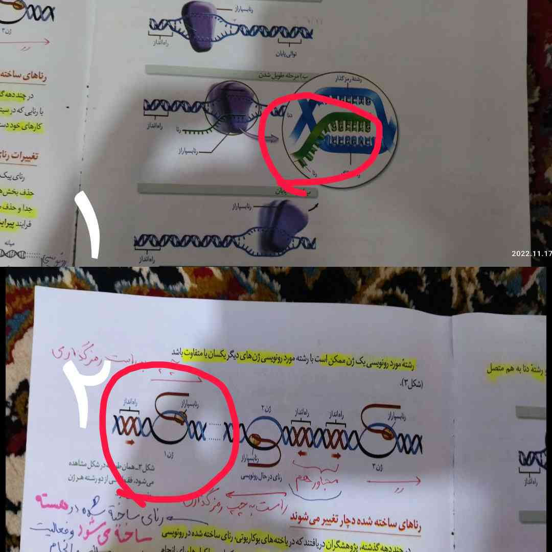 دوستان سلام با اینگه دوتا شکل ها از سمت چپ به راست رو نویسی میکنن ولی رشته الگوی شماره ۱ سمت پایین هست ولی در شکل شماره ۲ رشته الگو به سمت بالا هست