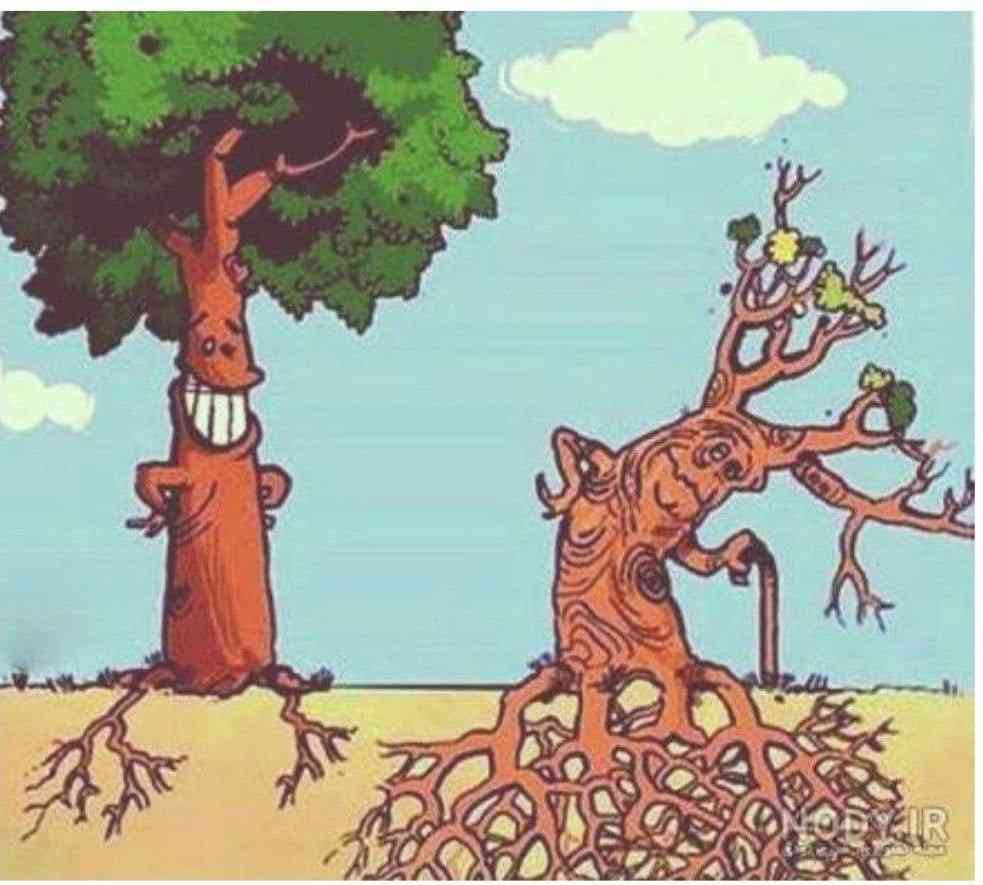 #فارسی
#انشا تصویری
در مورد این دو درخت انشا بنویس و برداشت خودت را بنویس.