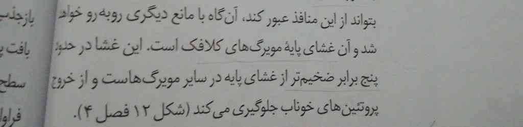 بچه ها جواب بدید لطفا.
این جا منظورش از ( پنج برابر ضخیم تر از غشایه پایه سایر مویرگ هاست) سایر مویرگ های منفذ داره؟ یا کل مویرگ ها در سراسر  بدن؟
 