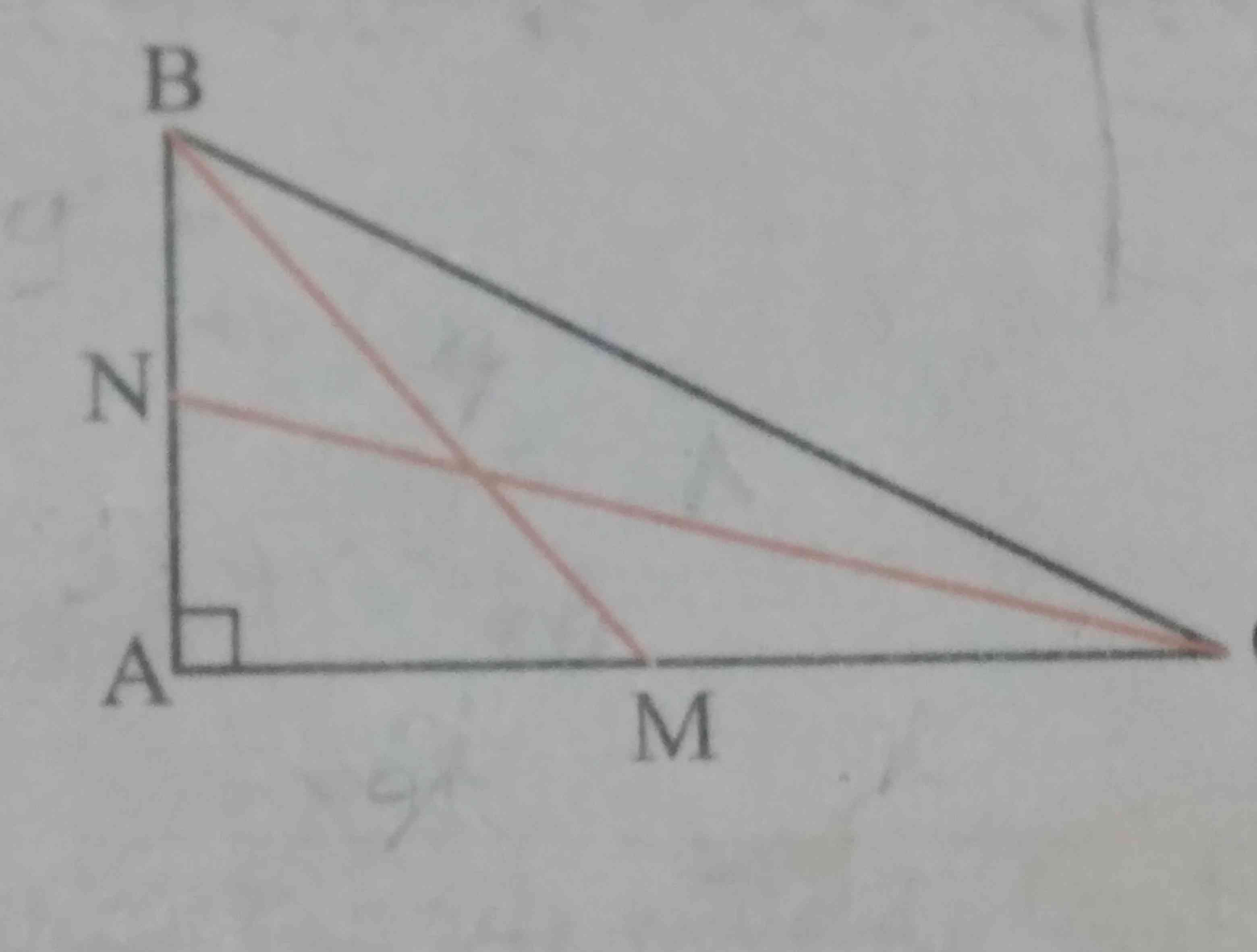 در مثلث قائم الزاویه ABC طول میانه های نظیر اضلاع زاویه قائمه ۶ و ۸ است اندازه وتر را محاسبه کنید 
لطفا اگر پاسخ یا ایده ای دارید بدید تاج میدم خیلی مهمه 