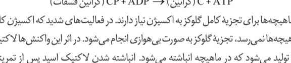 چرا در اینجا گفته شده تجزیه کامل؟ مگه تجزیه ناقص هم داریم؟ منظورشو نفهمیدم 