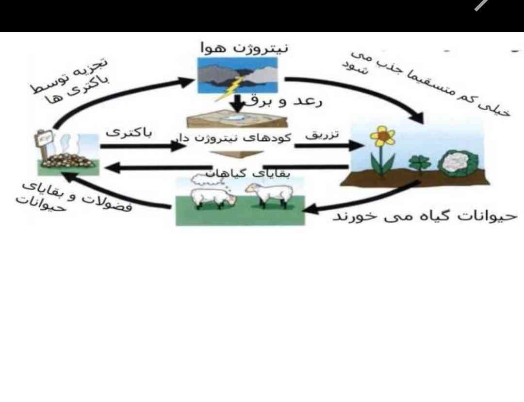 اگه پزارش نمی‌شدم توضیحم میدادم