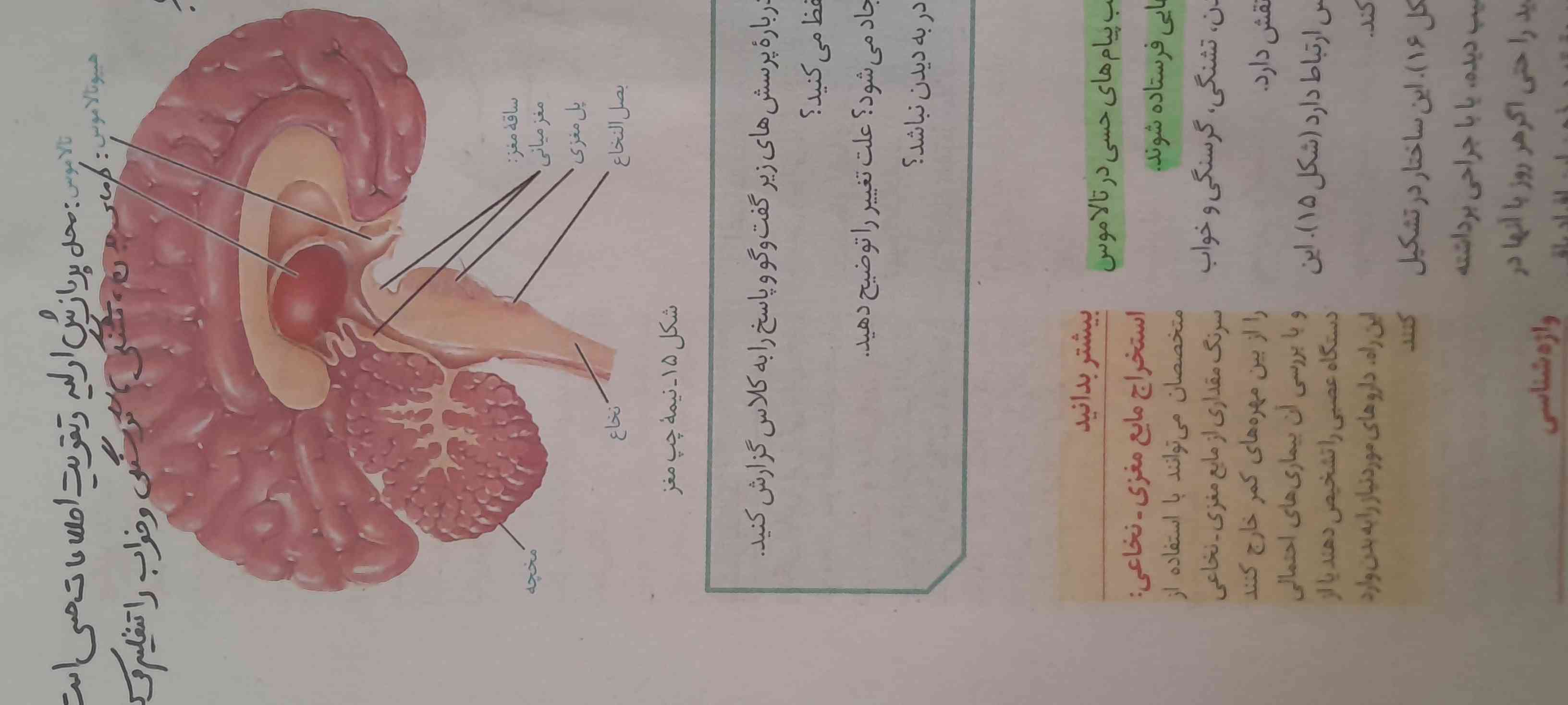 بچه ها میشه نکات آین شکل و بگید