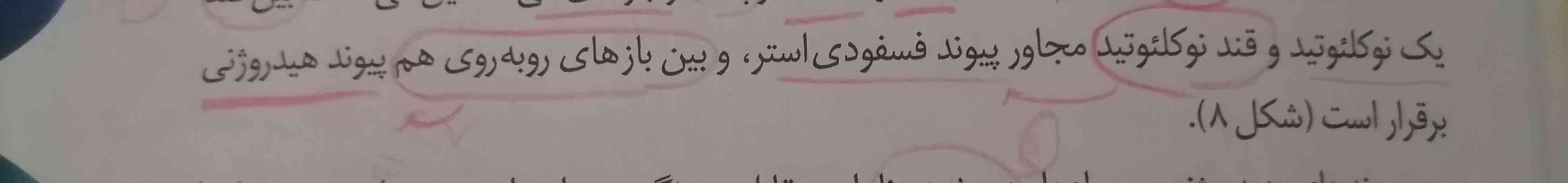 این رو نمیفهمم یعنی چی؟؟ معرمه💕
مگه قند کنارش فسفات و باز الی نیست
قندِ نوکلئوتید و قند خالی اصن منظورش چیه؟ 