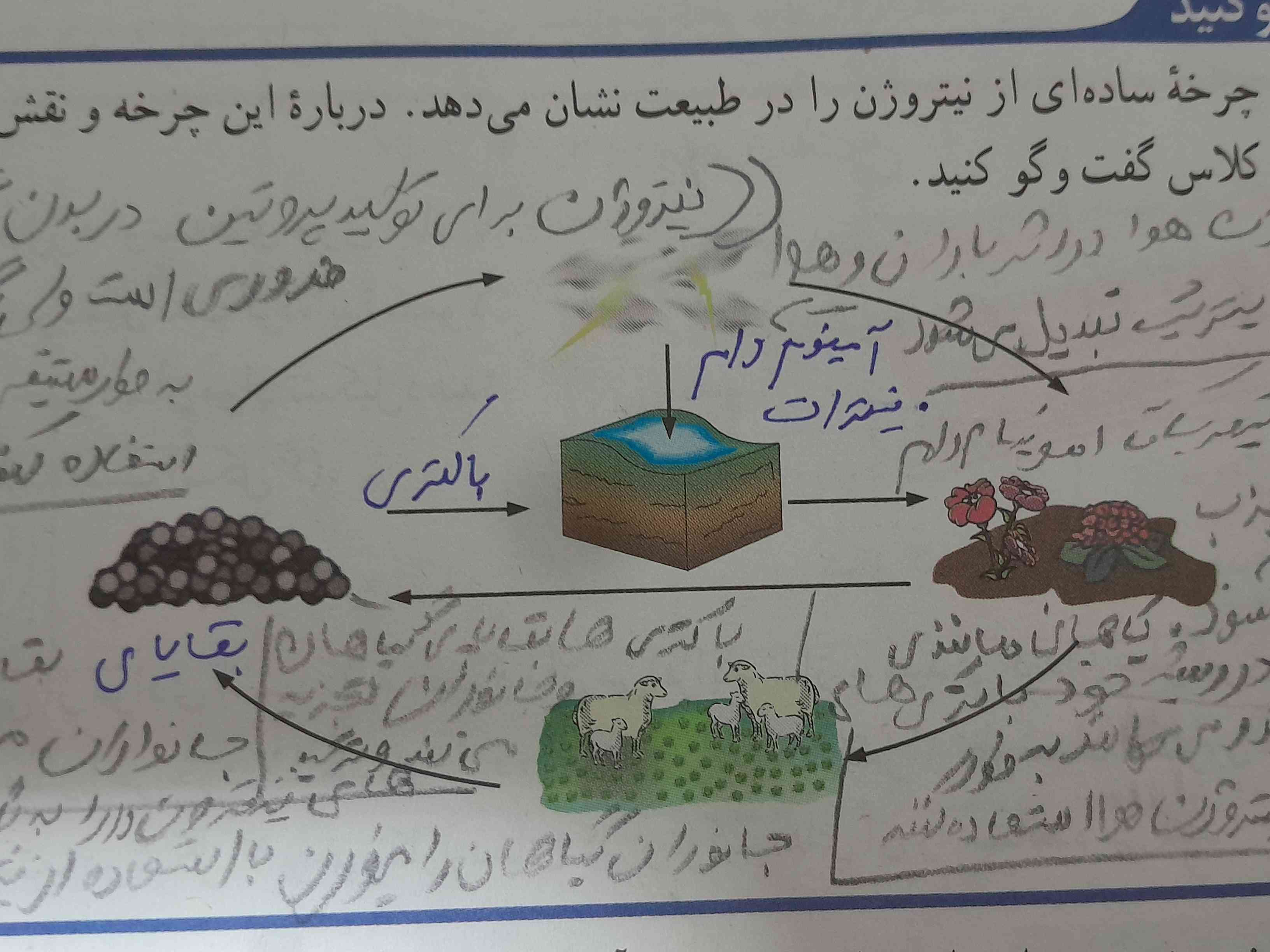 یکی که مراحل این چرخه رو توضیح بده اینقد بد خط نوشتم هیچی نمیفهمم💔 