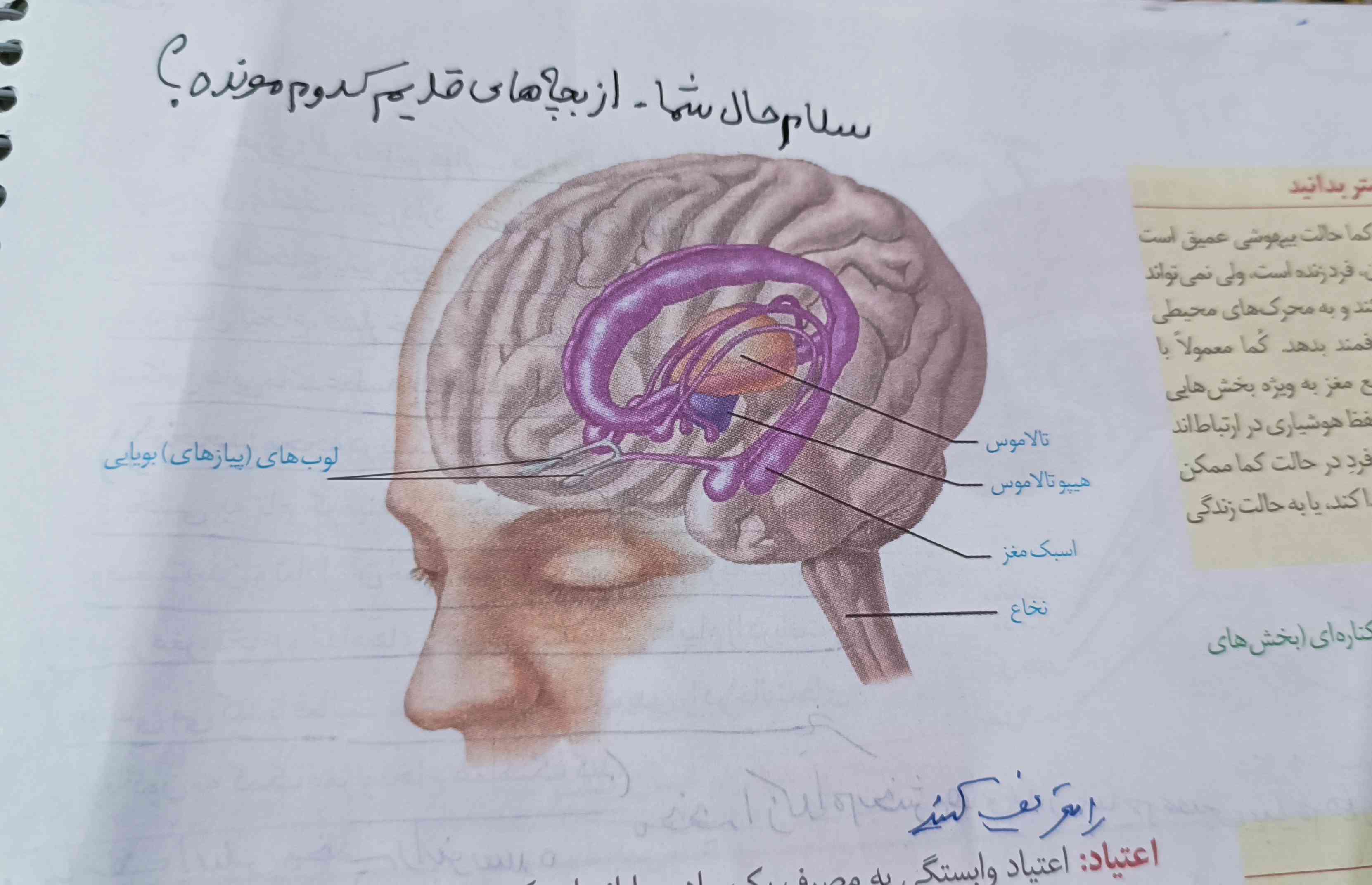 سلام لطفاً شکل زیر رو نگاه کنید و توضیح بدید.
(...)