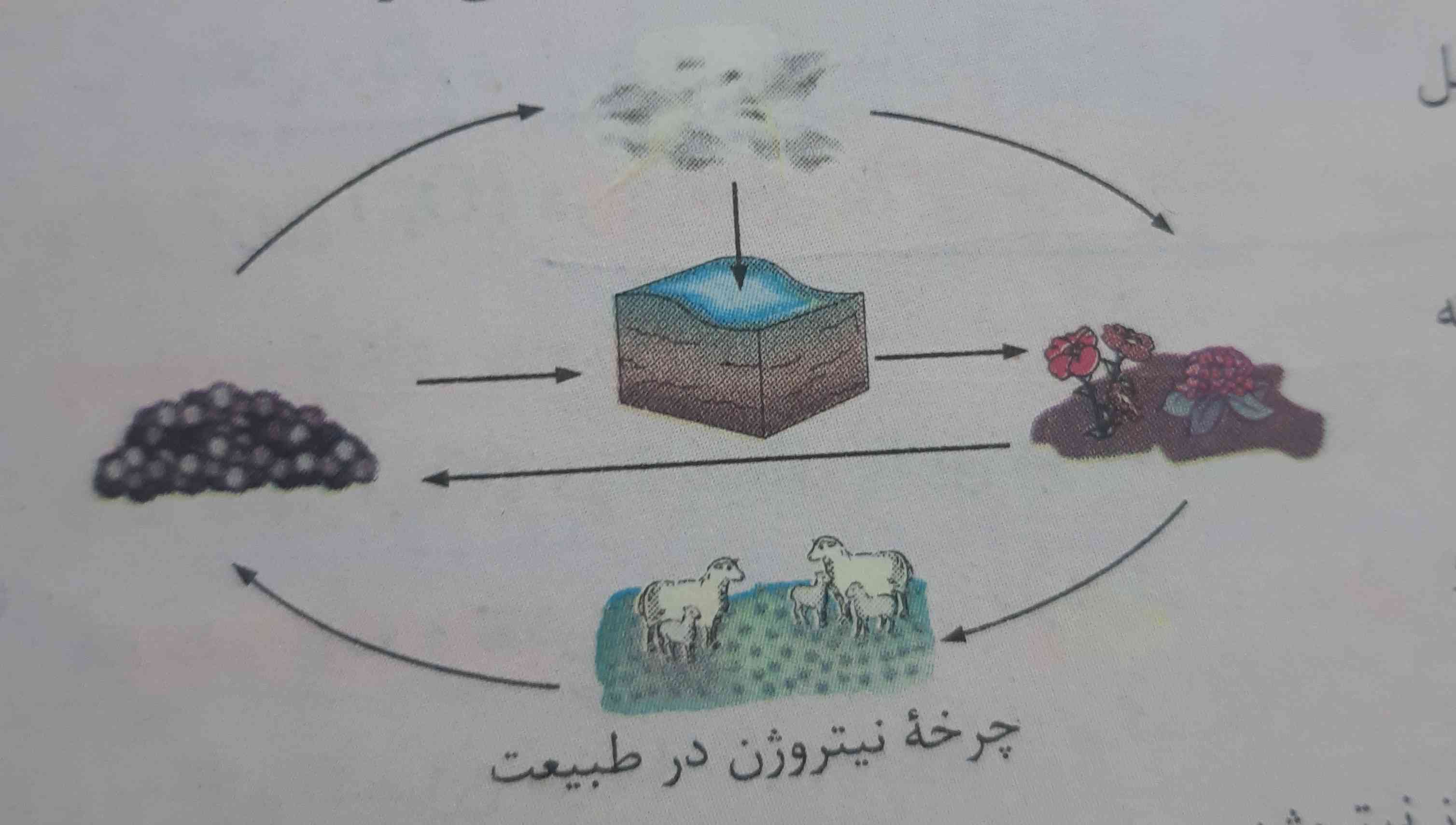 سلام 
لطفا اینو به زبون ساده توضیح بدید.
تاج میدم👑