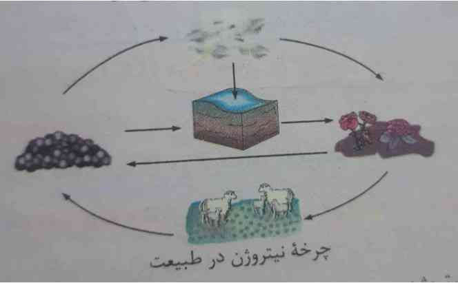 سلام میشه اینو توضیح بدید
تاج میدم