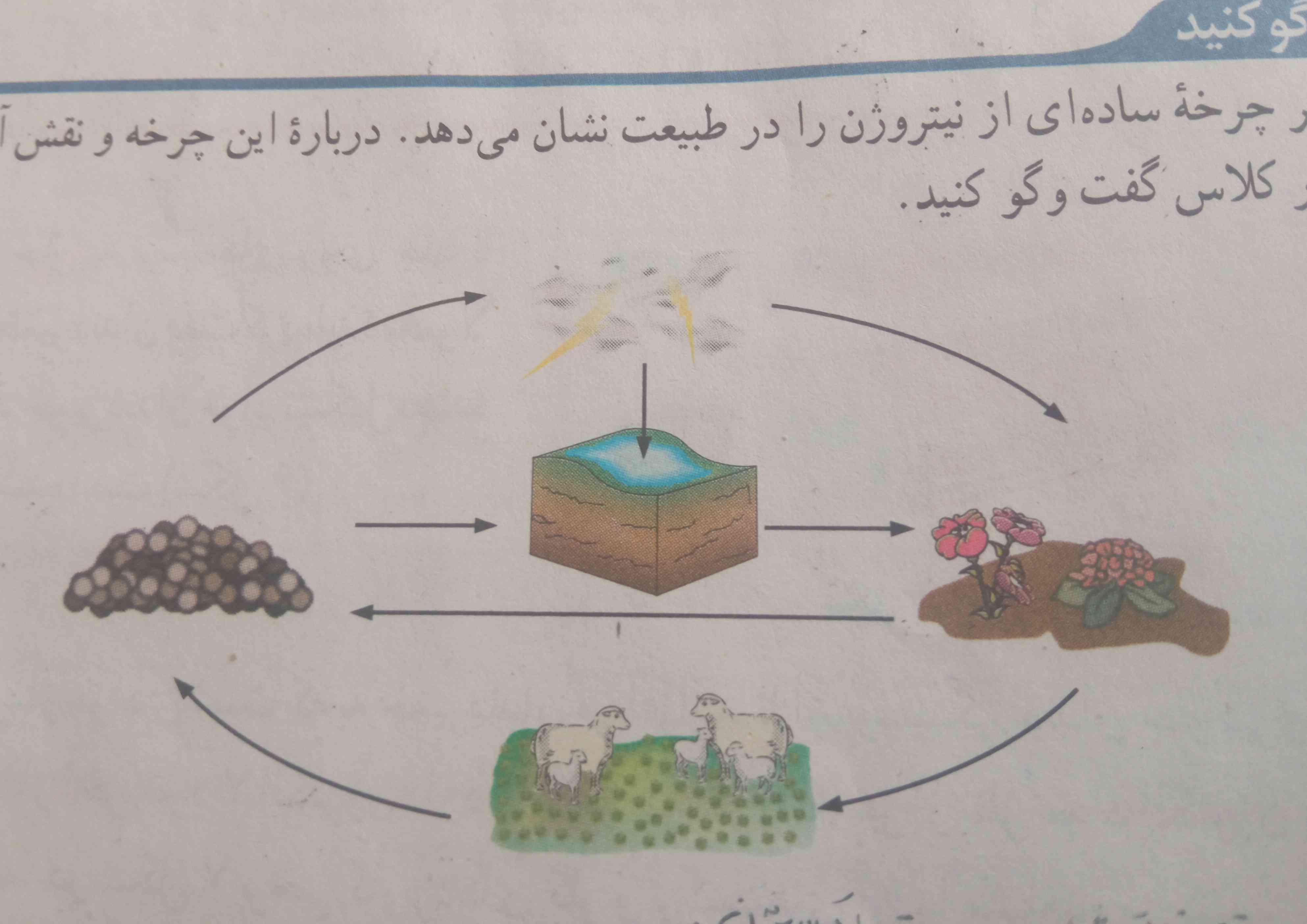 یکی این چرخه رو توضیح بده تاج میدم