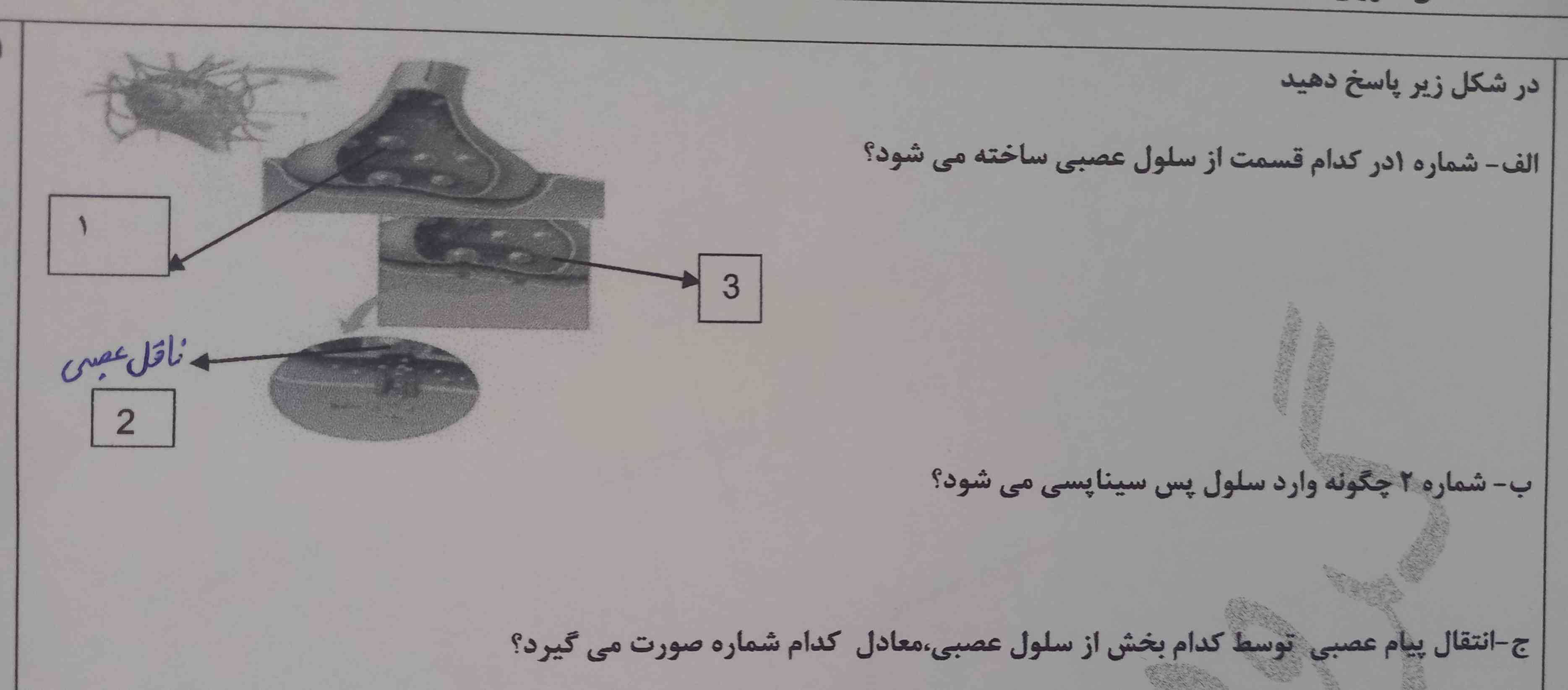 معرکه میدم جواب بدید لطفاااا