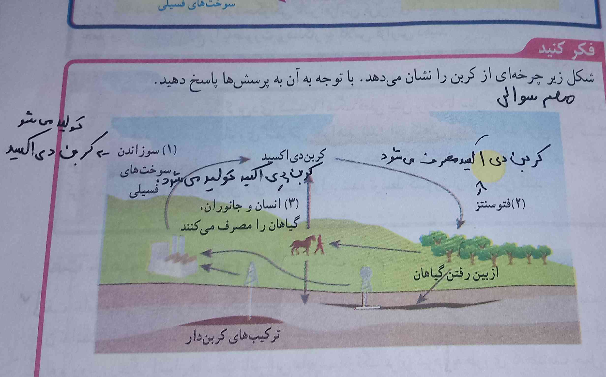 توضیح بدید مختصر تاج میدممم