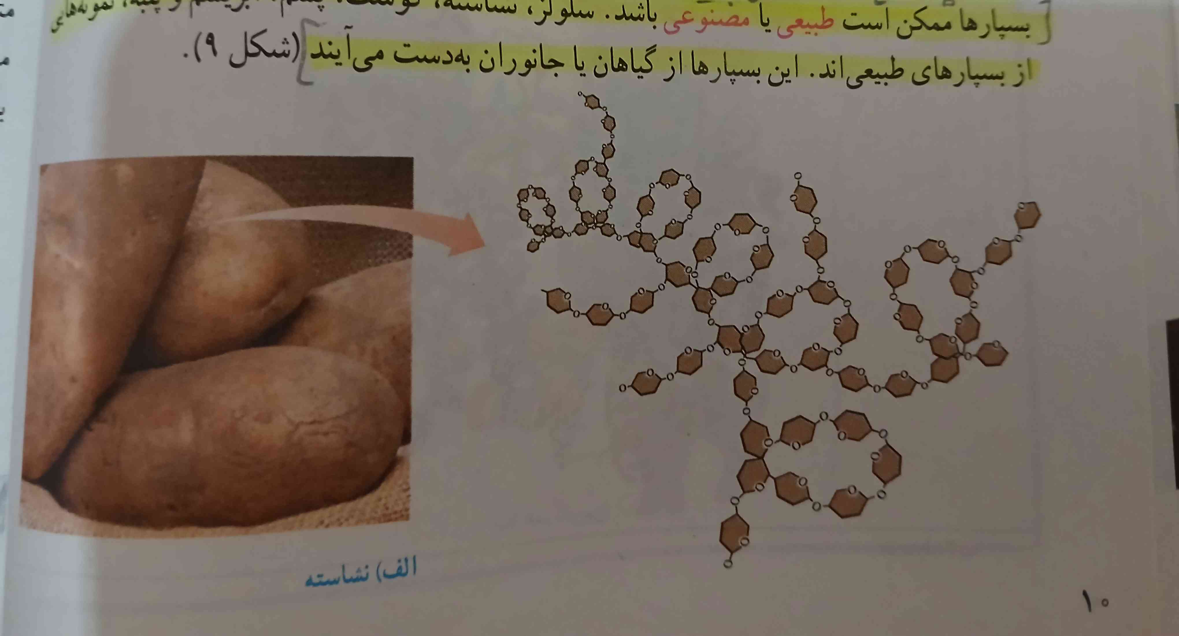 این مولکول یک ریز مولکوله یا بسپار؟توضیح بدید 
تاج میدم ممنون