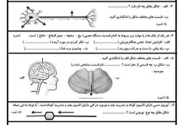 جواب بدید تاج میدم سوال ۵ بلدم 
بقیه بلدم ولی شک دارم تو رو خدا کمک کنید مرسی 
فردا امتحان دارم معلممون سحت گیره سوال ۶ و ۴ را قشنگ حل کنید 