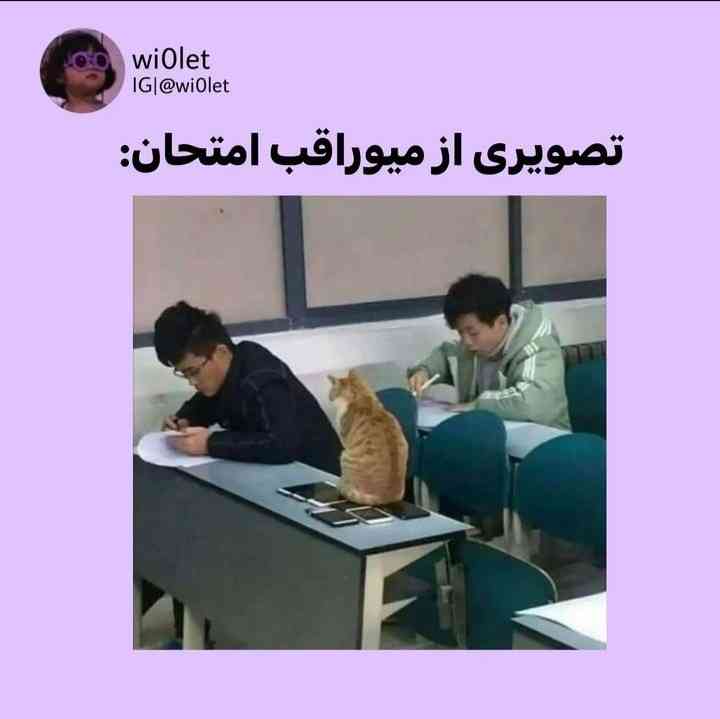 میوراقب امتحان :)))