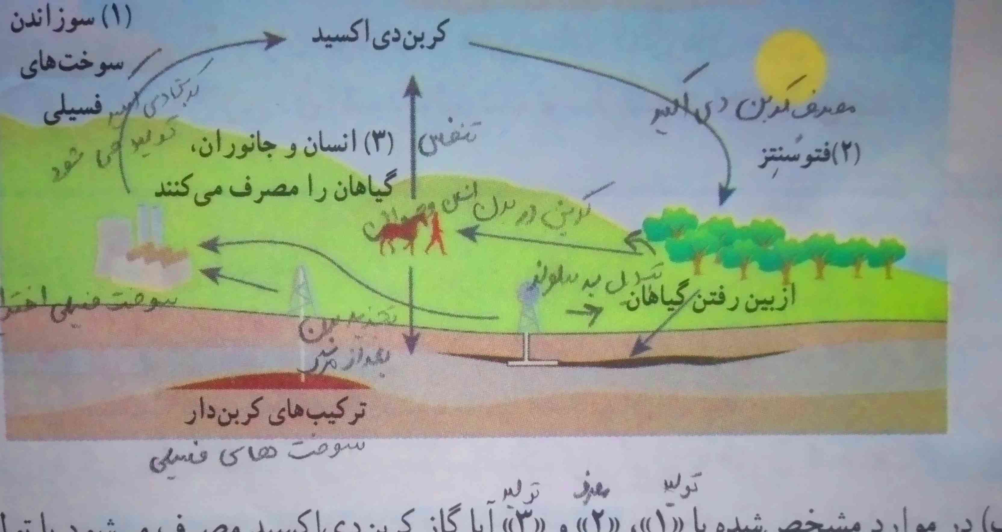 کامل توضیح میدین؟