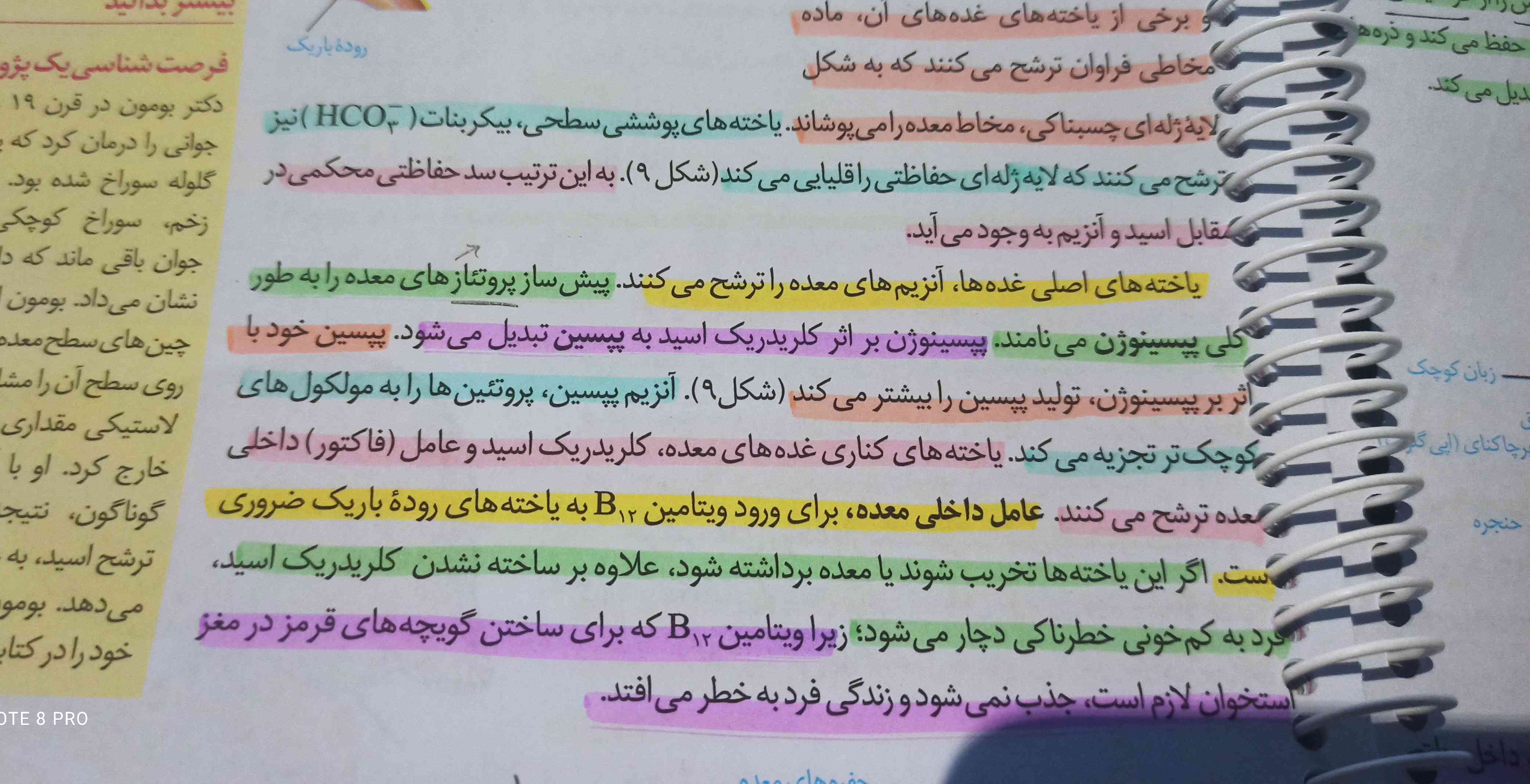 بچه ها اینجا رو به طور خلاصه بهم میکینش و اینکه پروتئاز چی چیه معلممون گفتا یادم رفتش