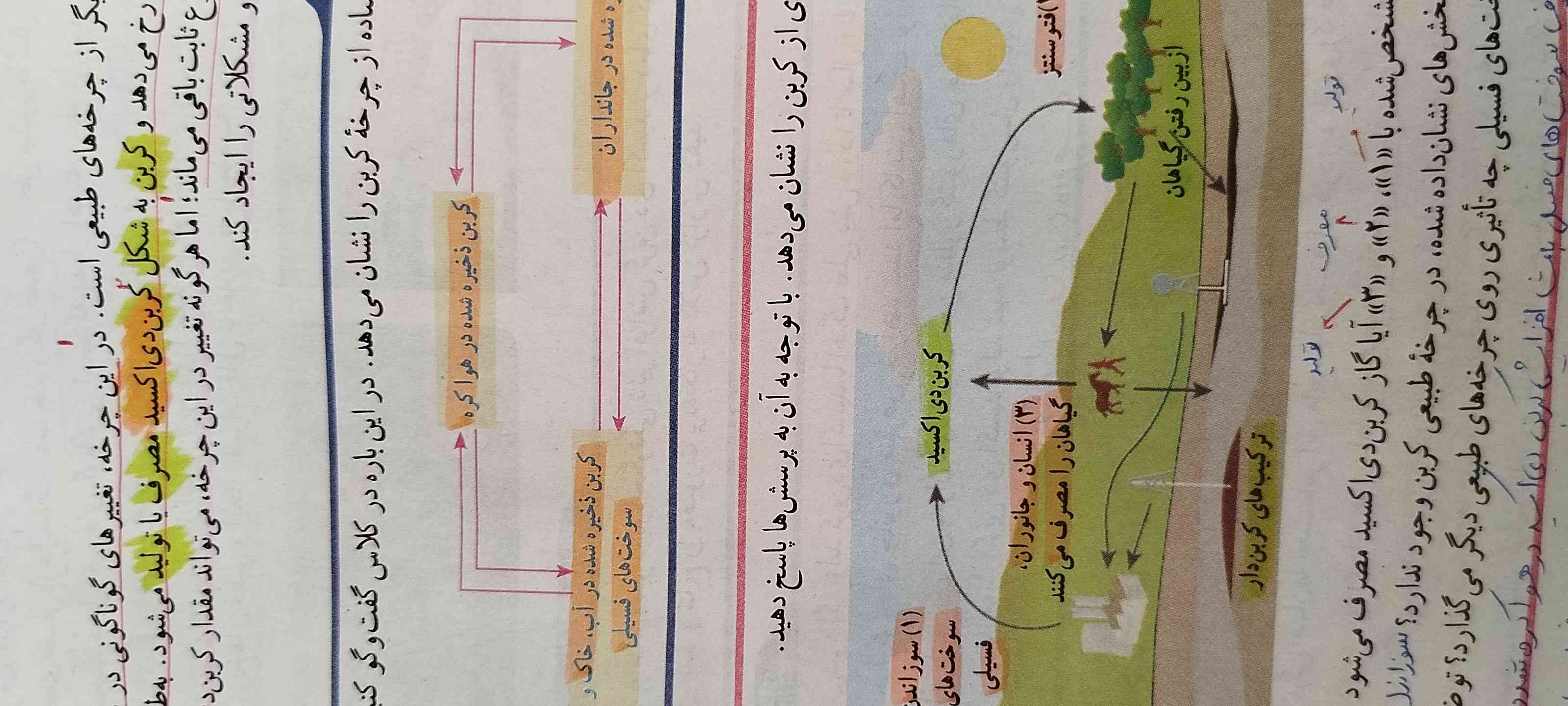 چرخه کربن یکی برام توضیح بده یا خلاصه و مختصر که سریع بتونم حفظ شم