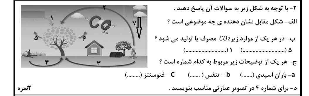 جواب بدید
تاج میدم