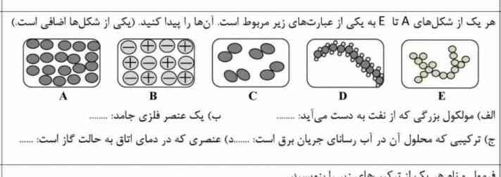 هرمی بگه فالو میکنم