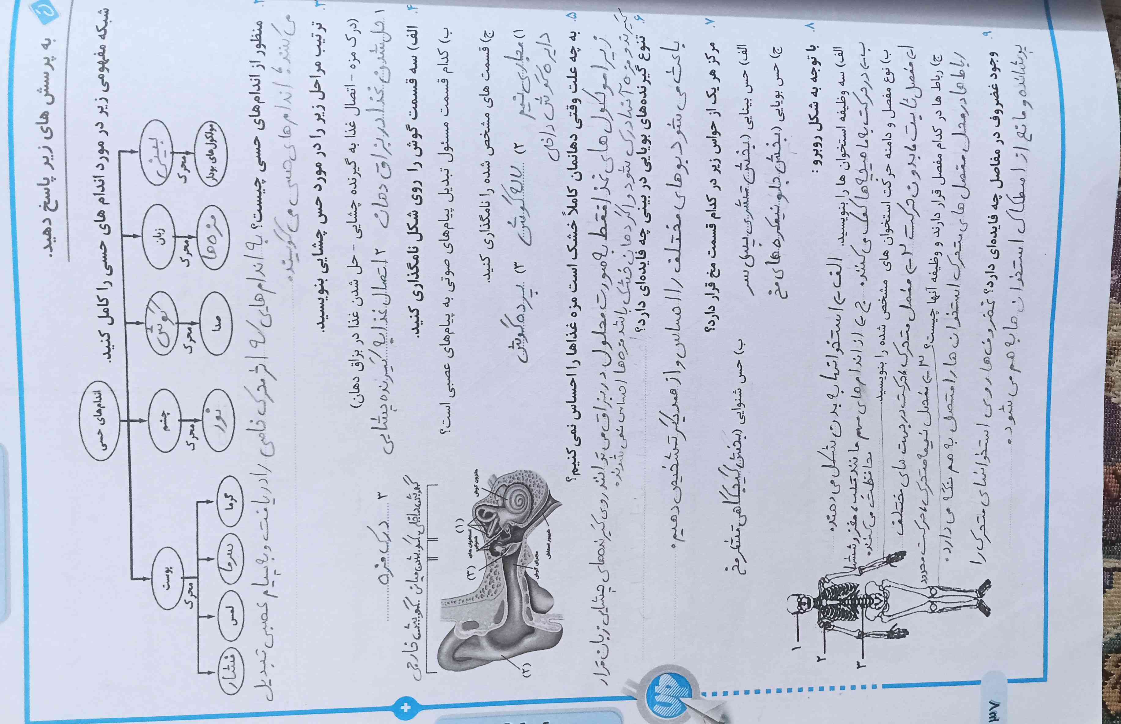 جواب هایی که دادم همشون درسته؟