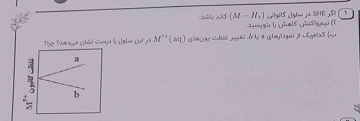 توضیح بدید لطفاً معرکه میدم