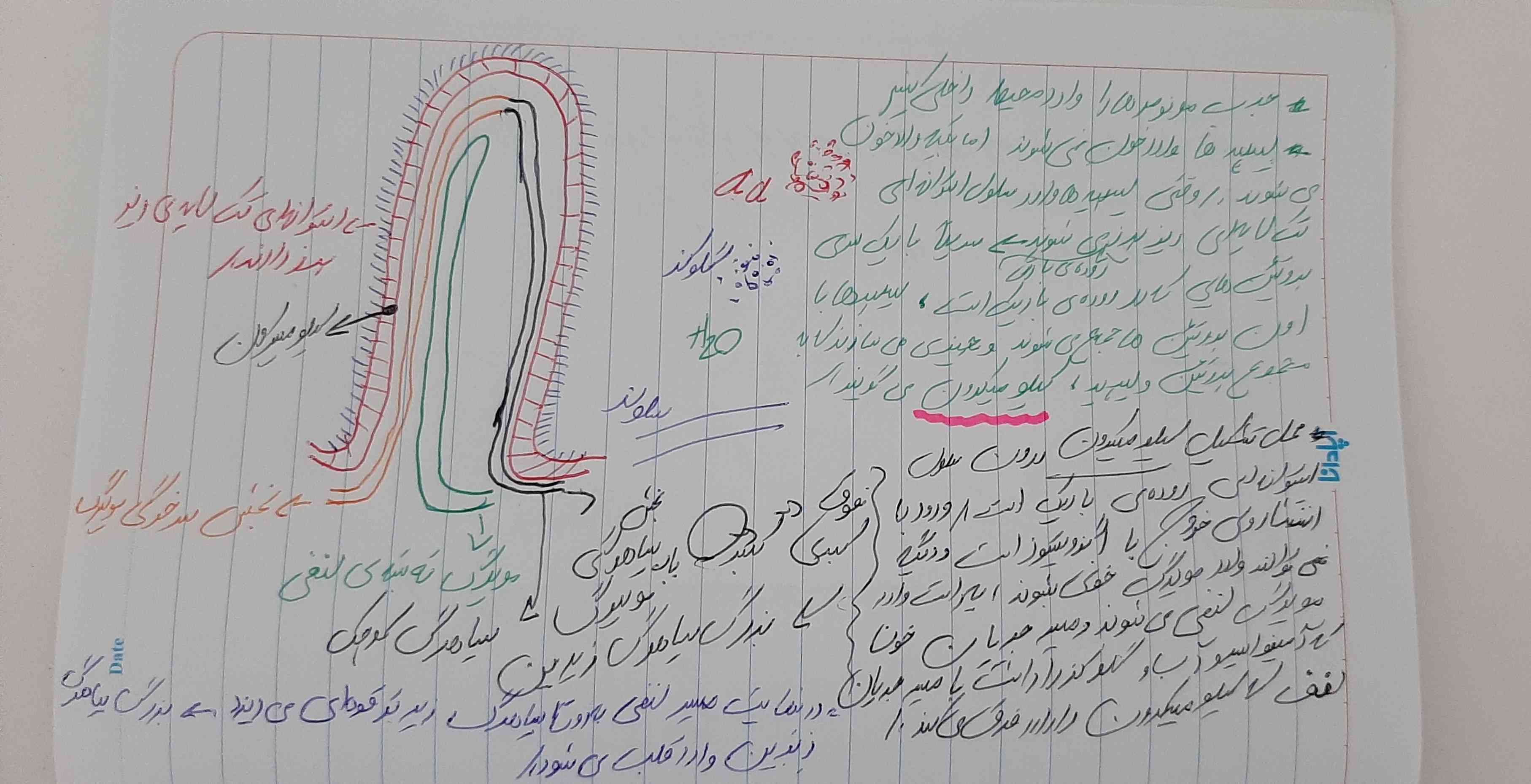 اون دوستی که نکنه میخواست 