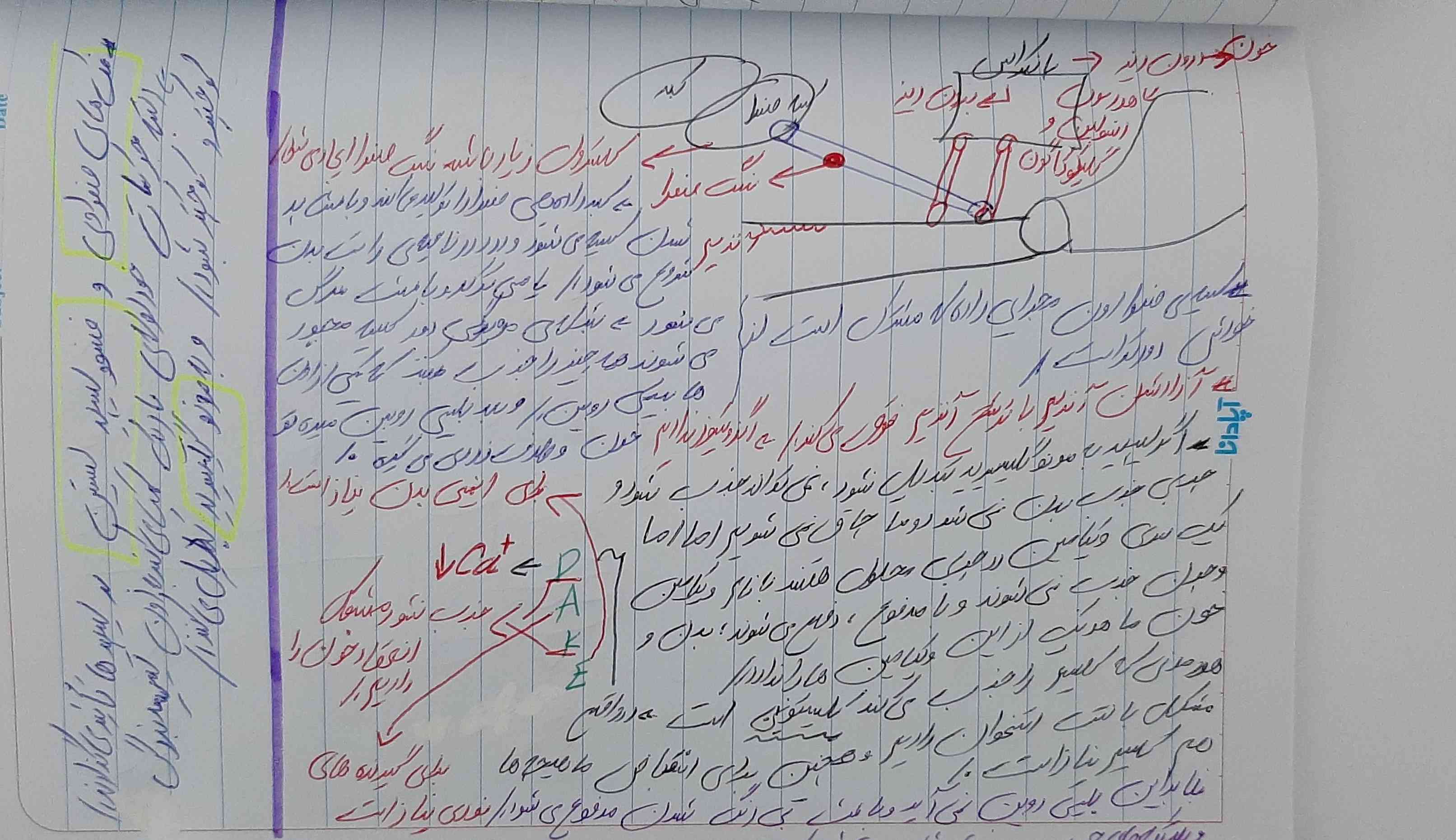 نکته ۳ عکس نیومد 