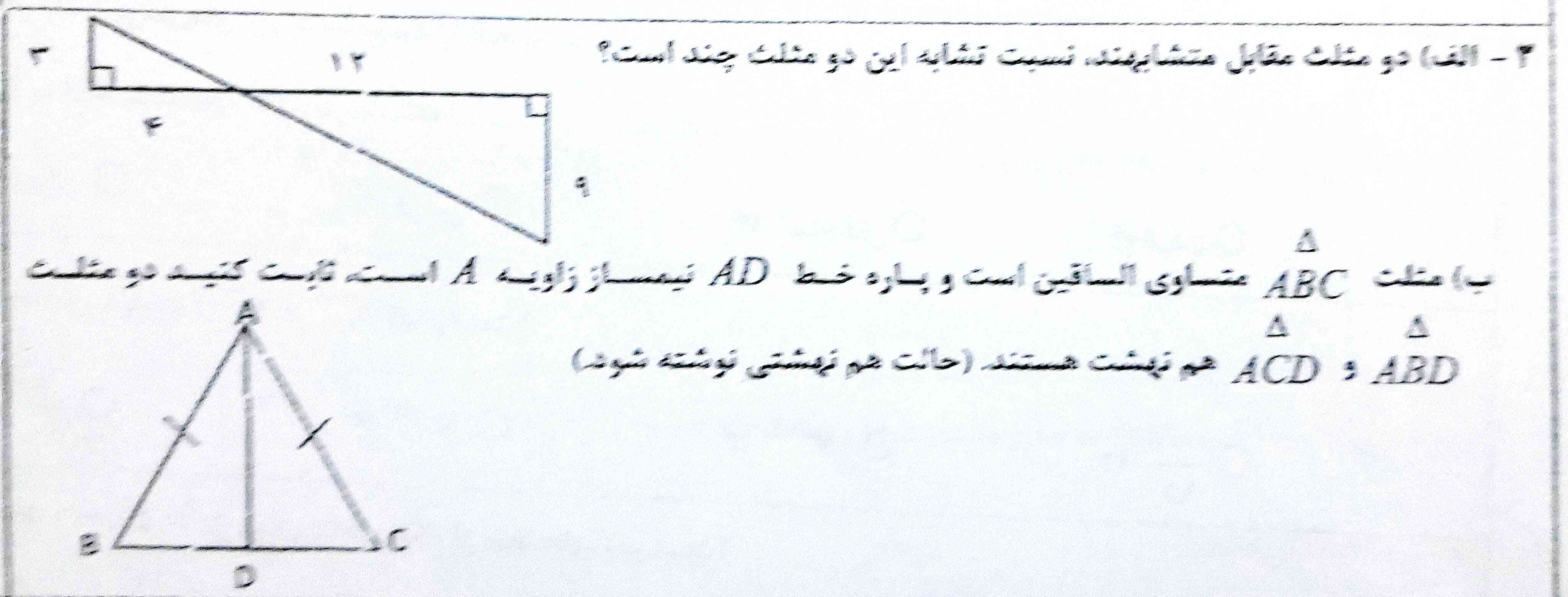 پاسخ....🤌🏻🌱