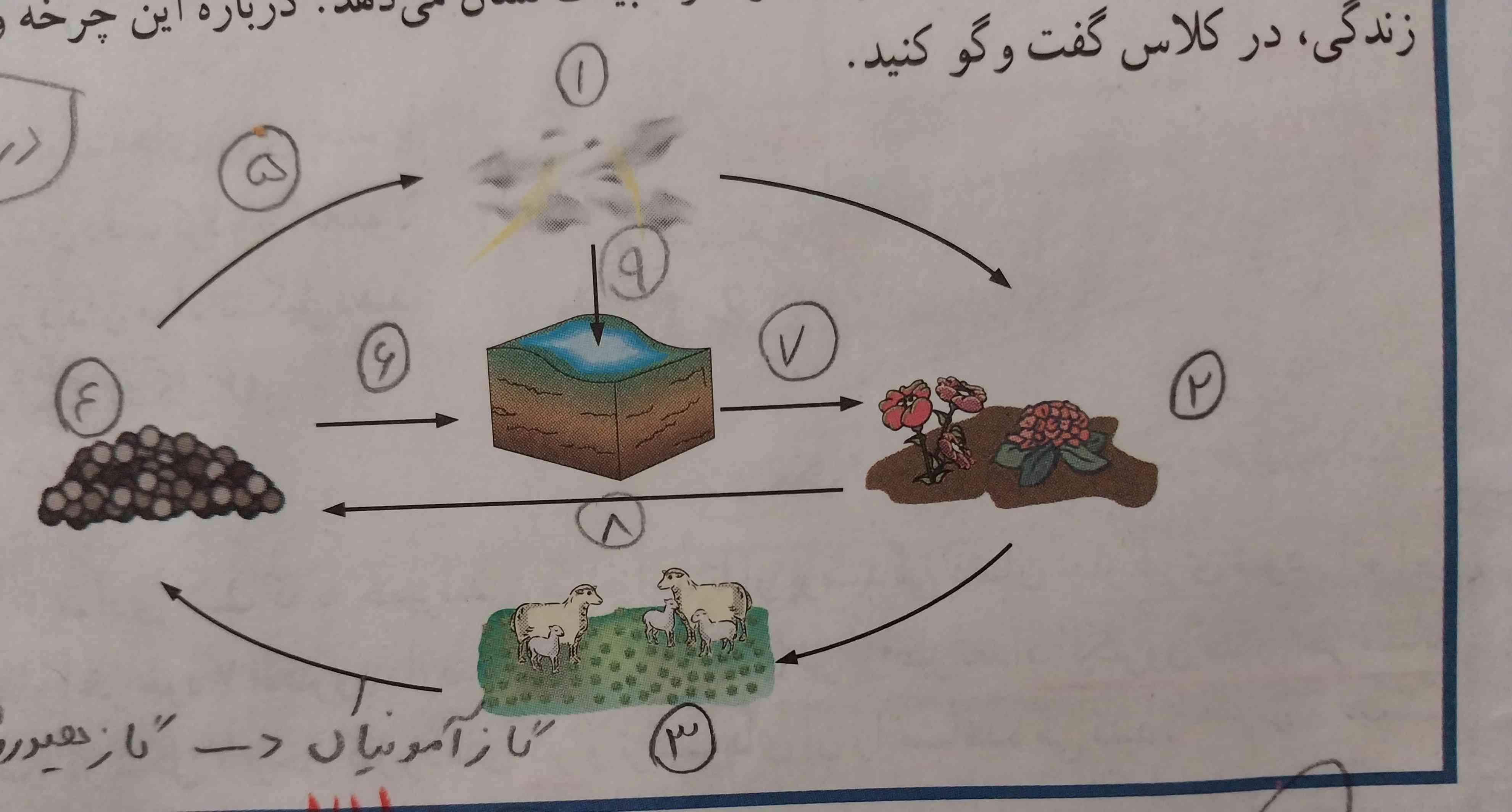 میشه به ترتیب شماره گذاری هاش رو توضیح بدید مخصوصا شماره ۶و۷