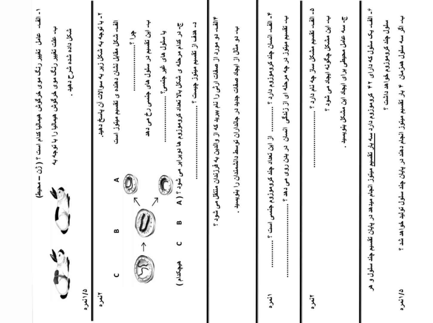 لطفا تا ساعت دو جواب بدید 