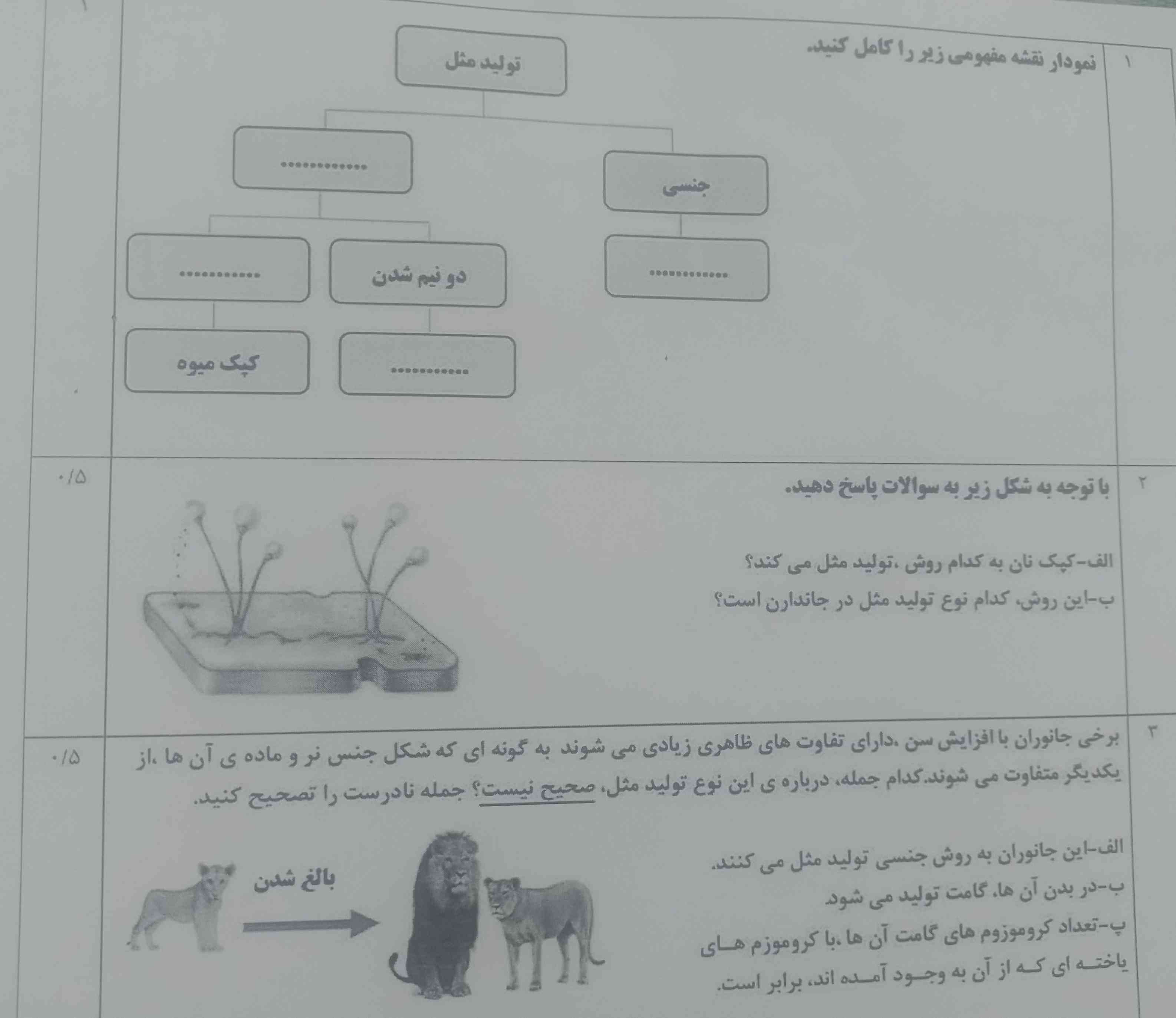 بچه ها های جواب داد تاج=فالو