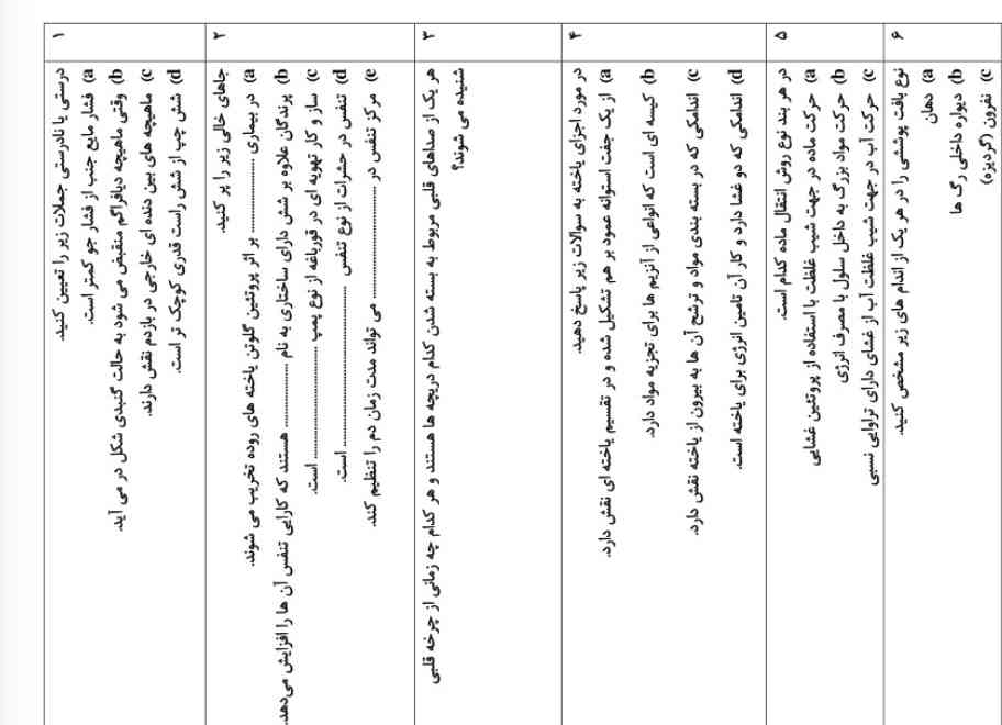 لطفا جواب بدید تاج میدم 