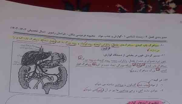 این شکل رو کامل و واضح برام ۱وضیح بدبد پلیز لازم دارم