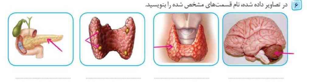 کمکم کنید ممنون میشم