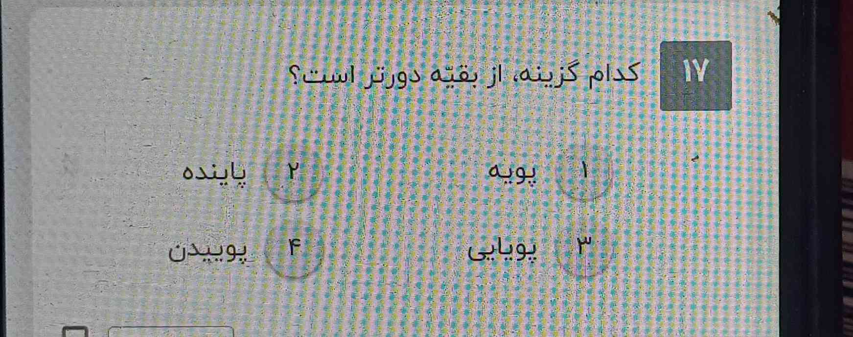 جواب بدید تاج میدم