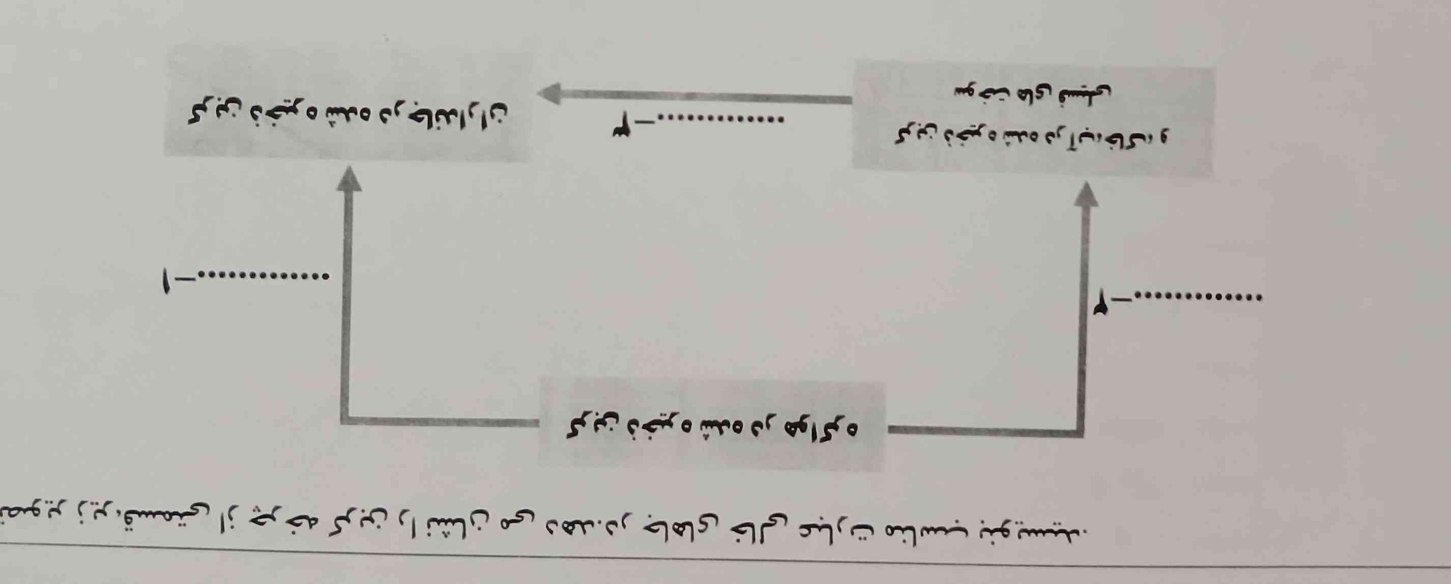 میشه بگید تاج میدم 