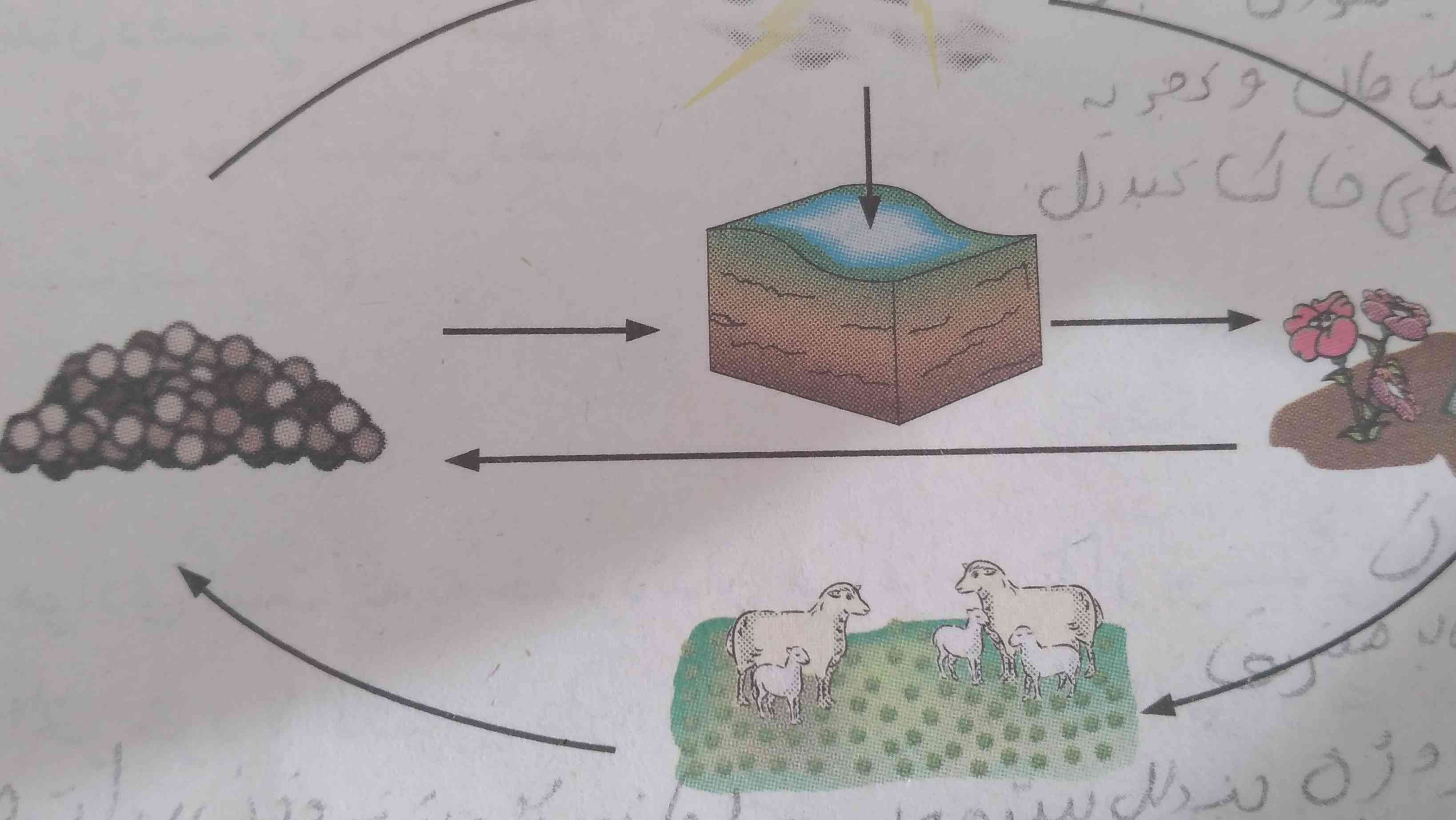 این چرخه رو ب صورت خلاصه توضیح بدید...