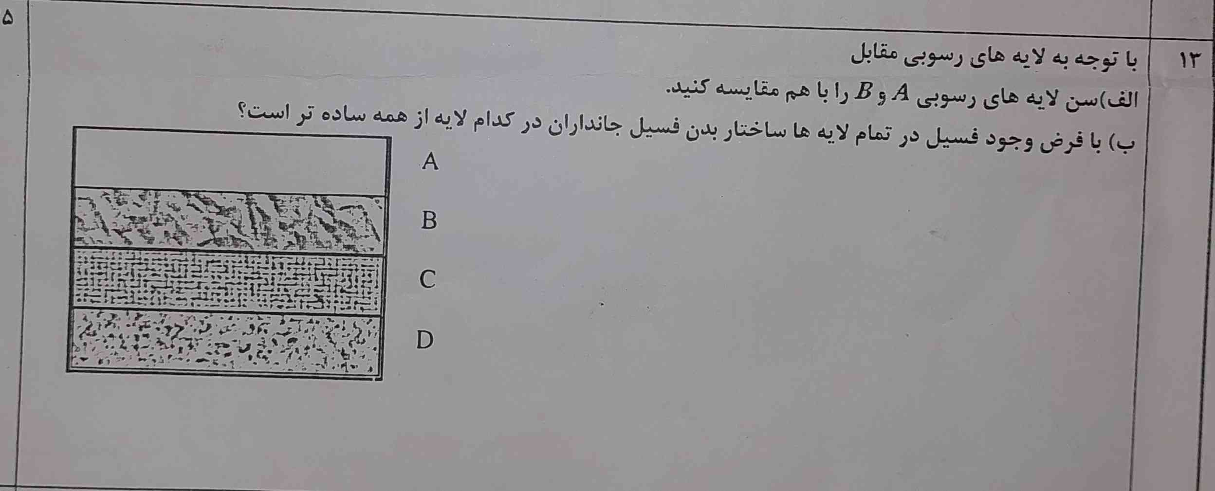 لطفا جواب بدید. تاج میدم