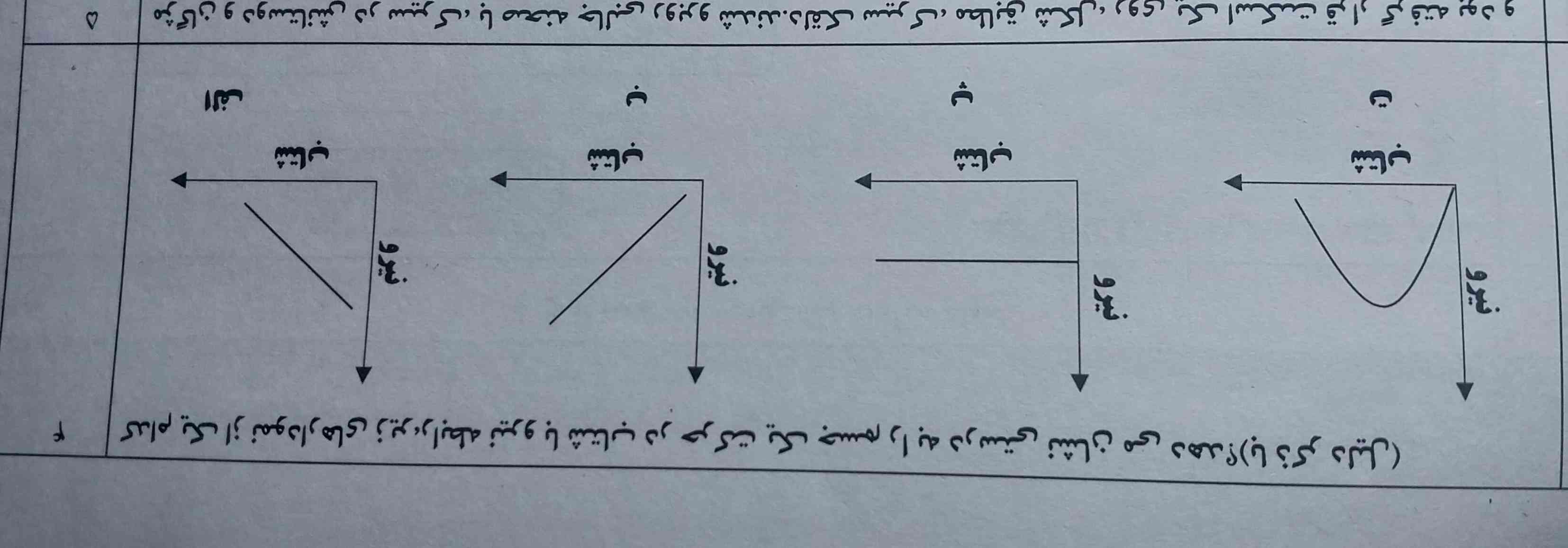 پاسخ میدید