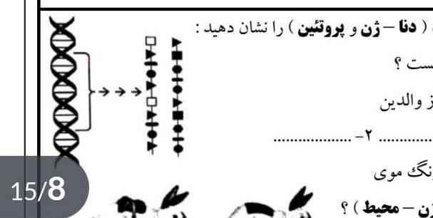 حل کنید لطفا دنا و ژن و پروتئین رو نشون بدید