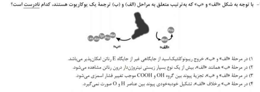 این سوال بی زحمت بگو