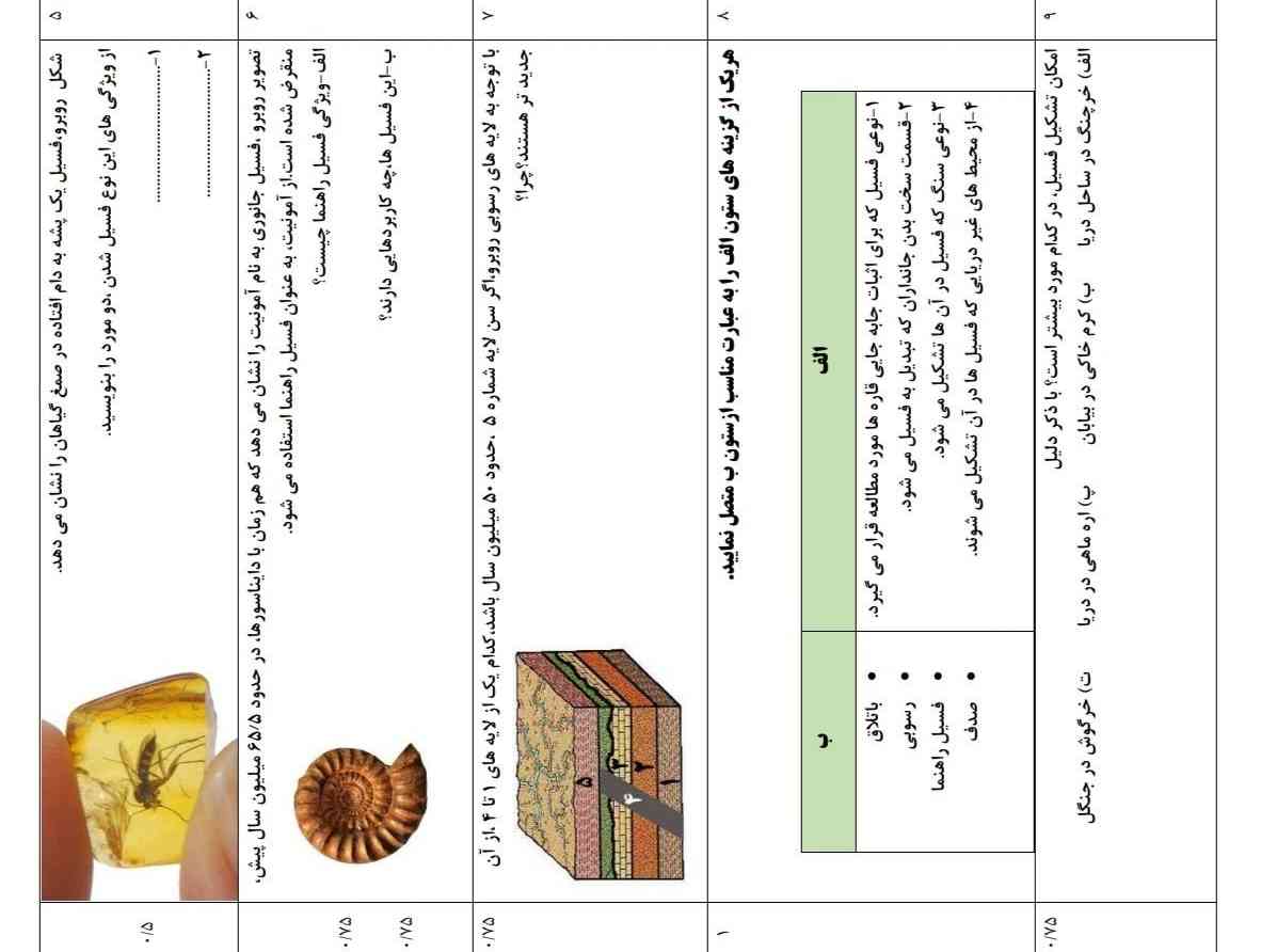 جواب بدید تاج میدم 