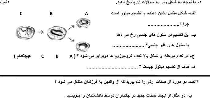 جواب رو بگین