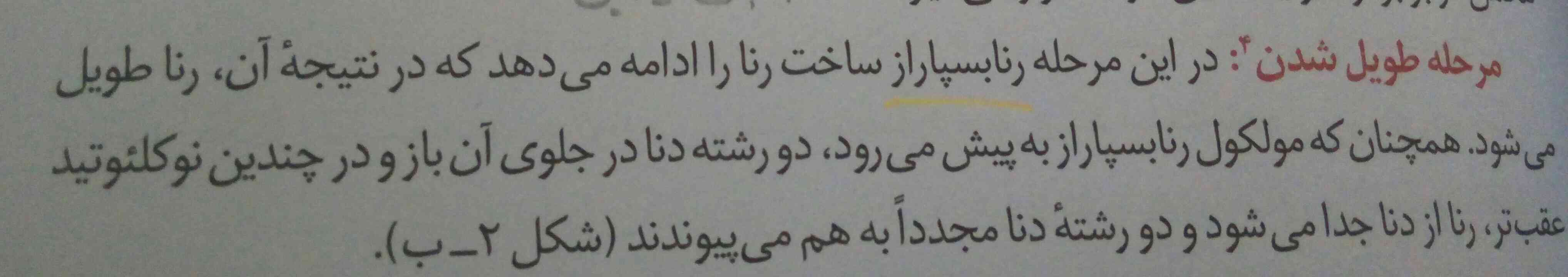 ایا در جدایی رنا از دنا انزیمی نقش داره؟

      اگه داده چه انزیمی؟